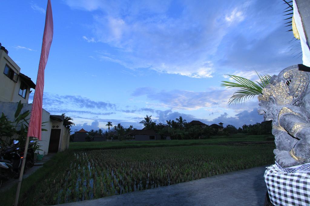 Pondok Buda Merta Ubud Exterior foto